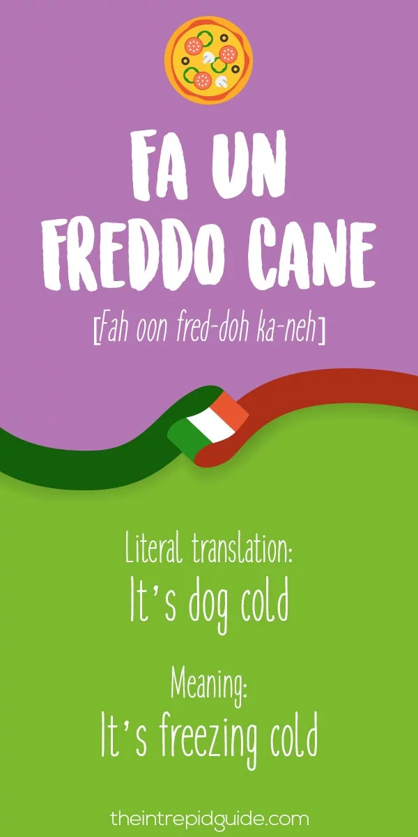 Italian Expressions Fa un freddo-cane