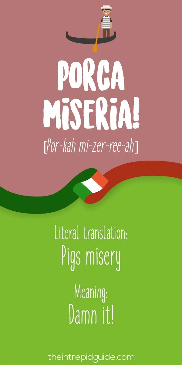 Italian Expressions Porca miseria