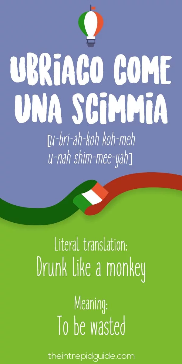 Italian Expressions Ubriaco come una scimmia