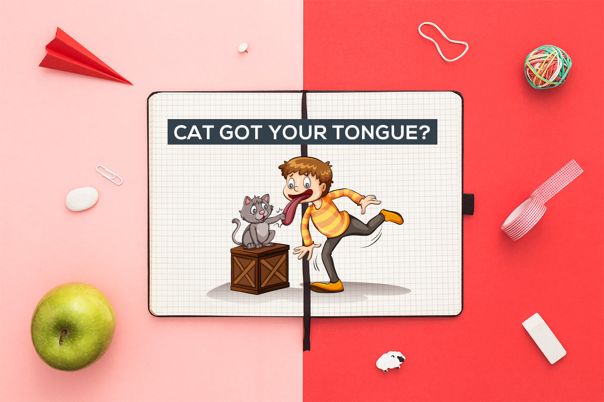 A guide to cat idioms and expressions, and how to use them - YP