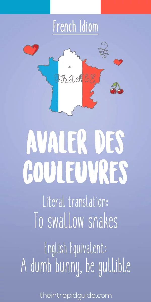 funny french idioms - Avaler des couleuvres