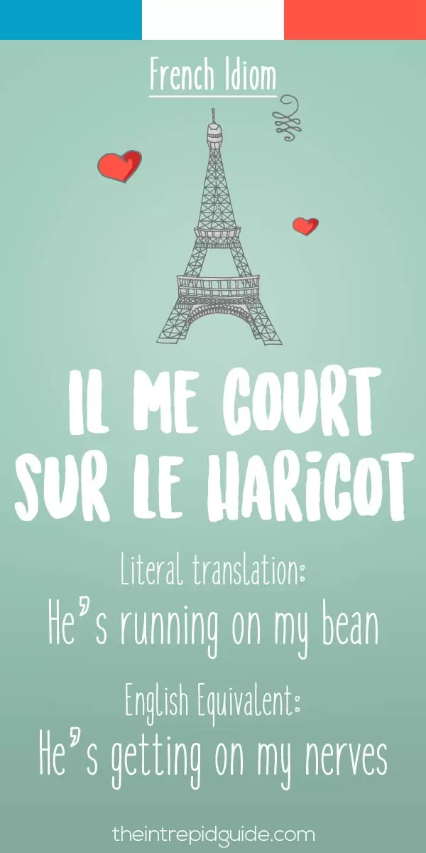 101 Funny French Words, Phrases, Sayings & Facts You'll Love