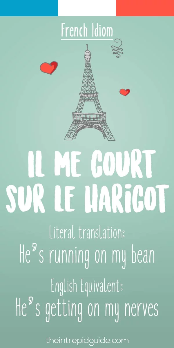 funny french idioms - Il me court sur le haricot