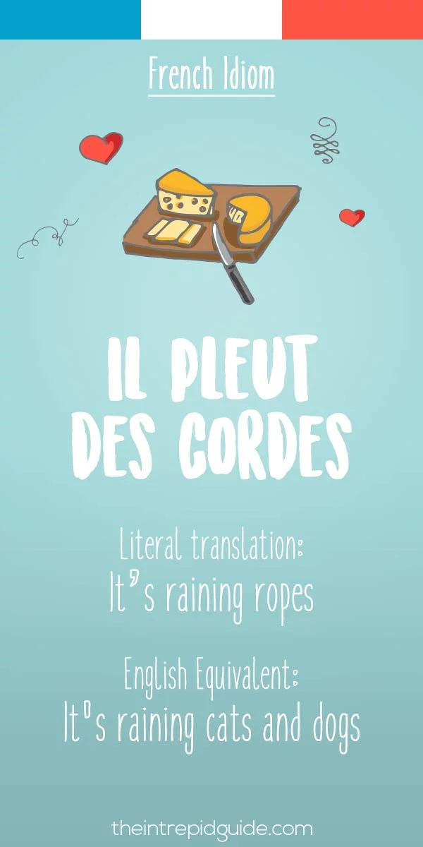 funny french idioms - Il pleut des cordes