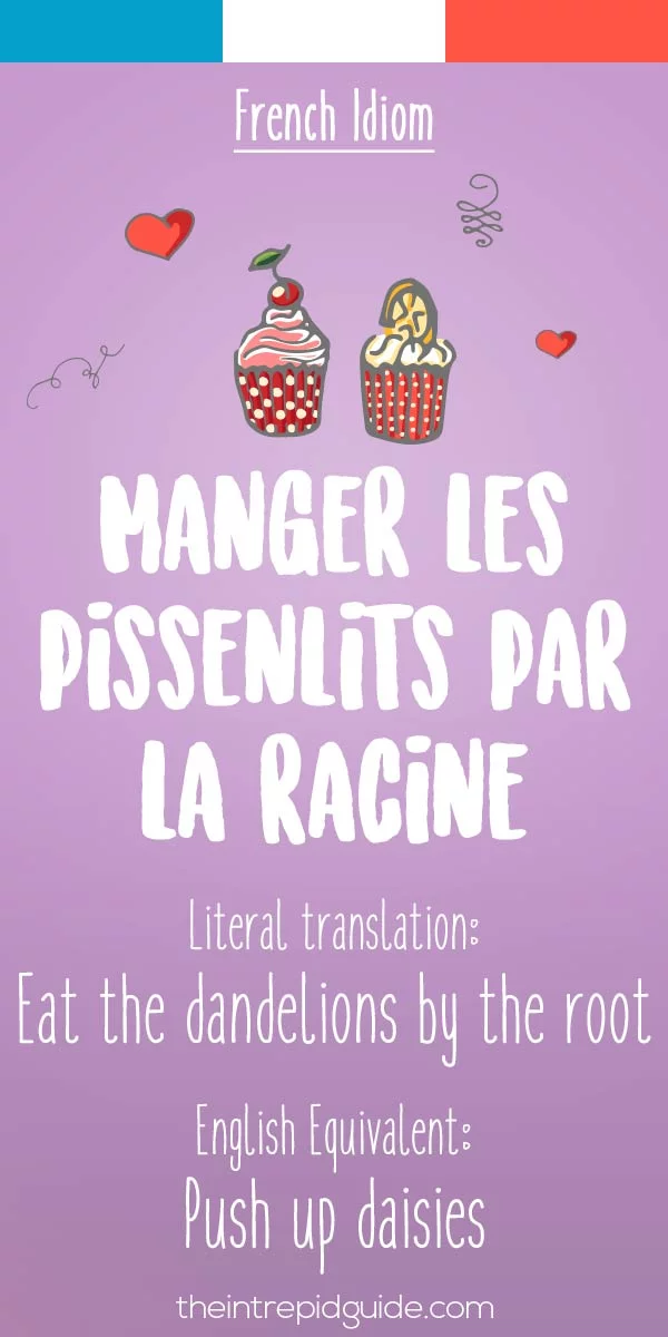 funny french idioms - Manger les pissenlits par la racine
