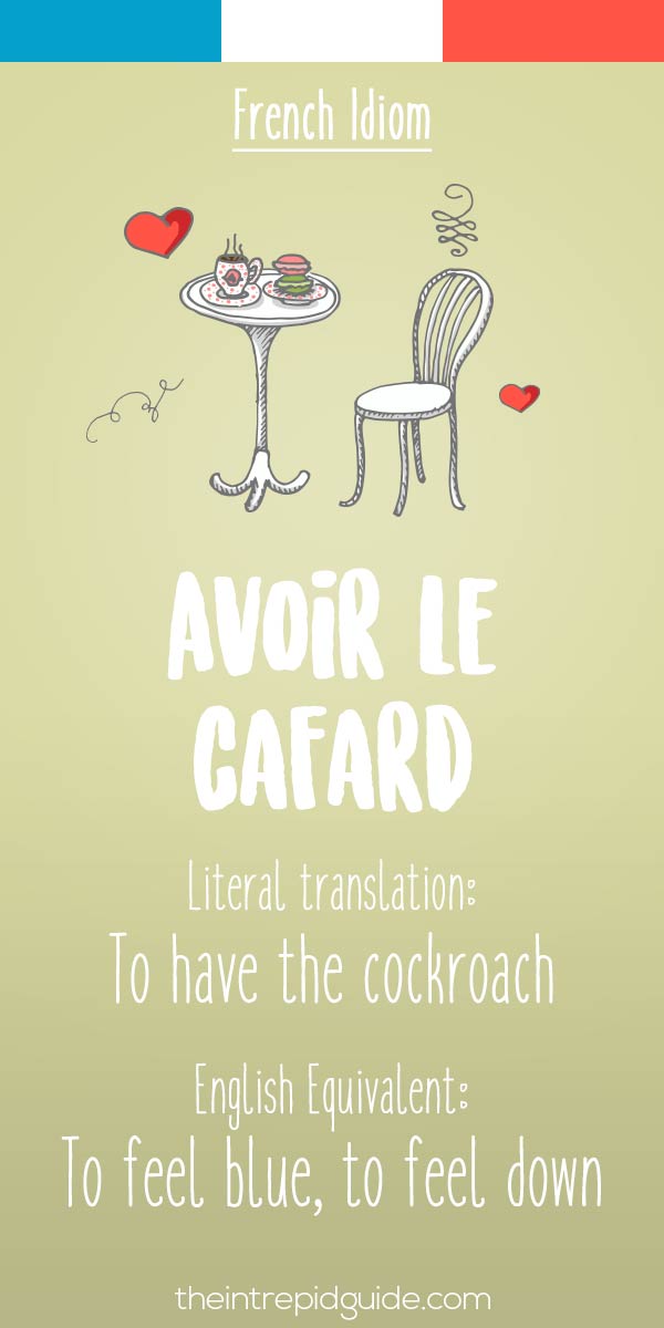 funny french idioms - avoir le cafard