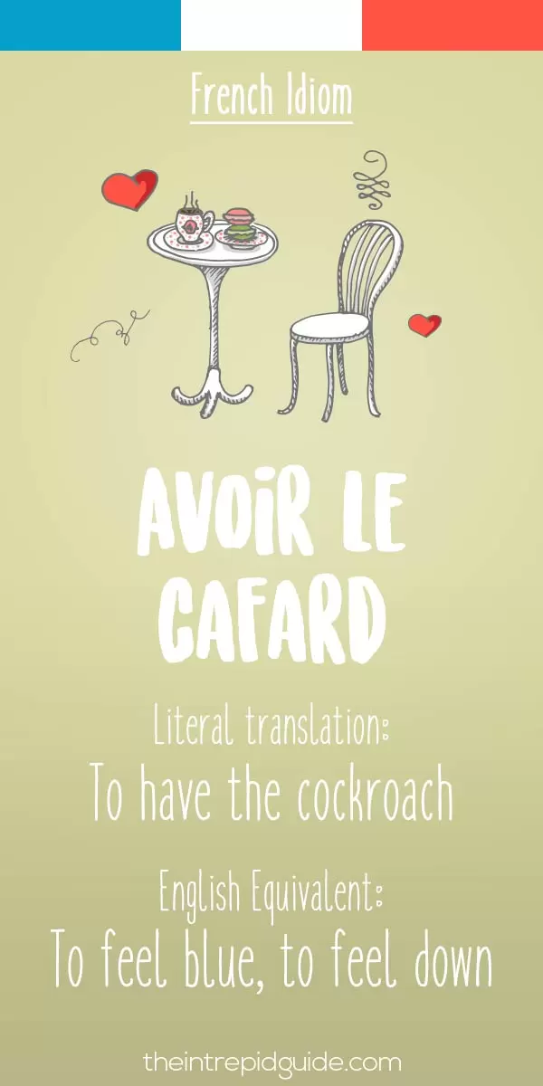 25 Funny French Idioms Translated Literally The Intrepid Guide