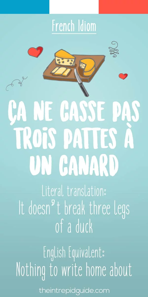 funny french idioms - ca ne casse pas trois pattes a un canard