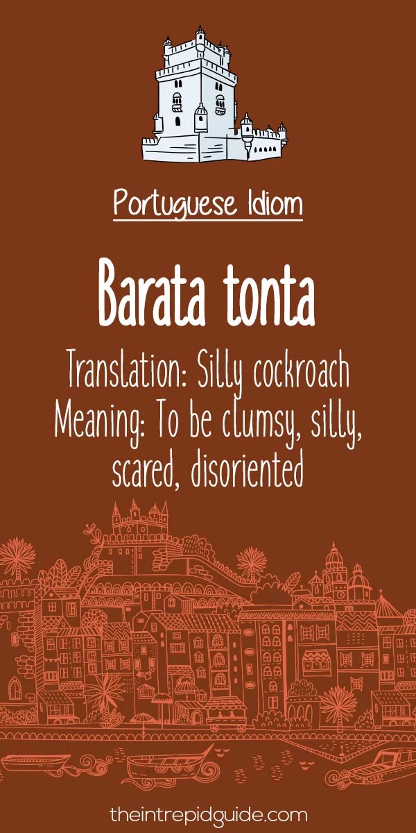 Portuguese idioms - Barata tonta
