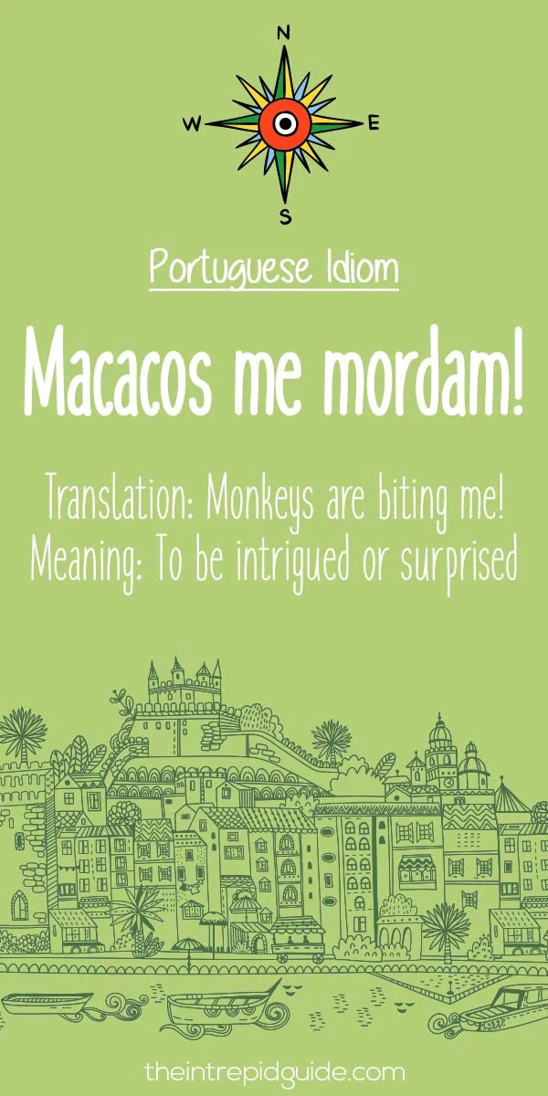 Portuguese idioms - Macacos me mordam