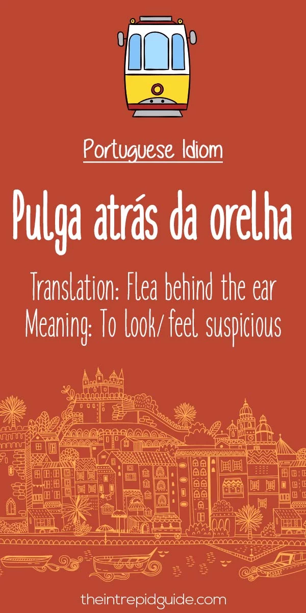 Portuguese idioms - Pulga atras da orelha