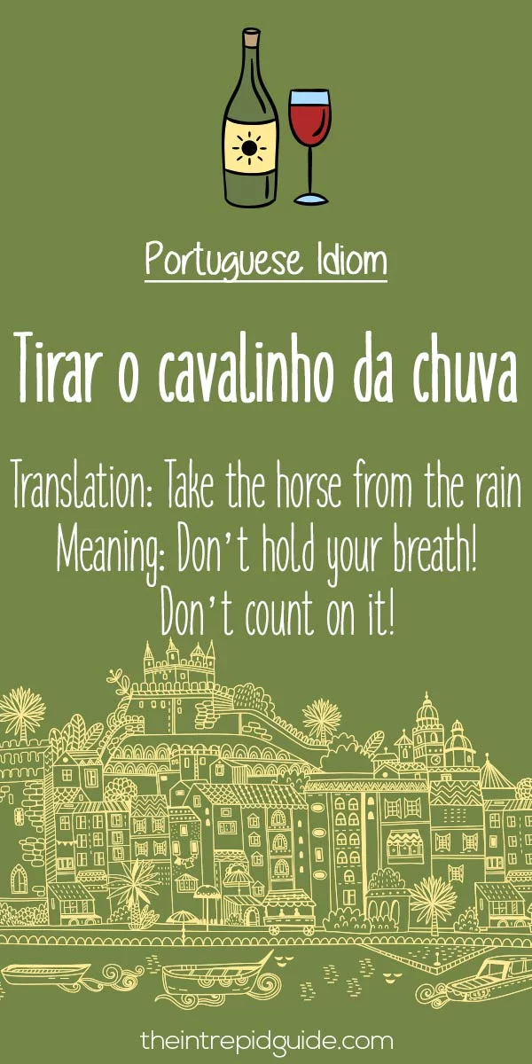Portuguese idioms - Tirar o cavalinho da chuva
