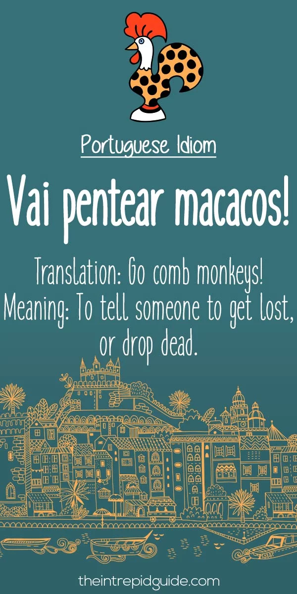 Portuguese idioms - Vai pentear macacos