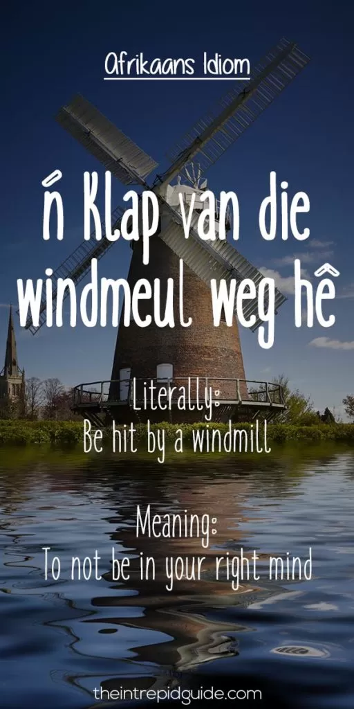 25 Hilarious Afrikaans Idioms That Should Exist in English