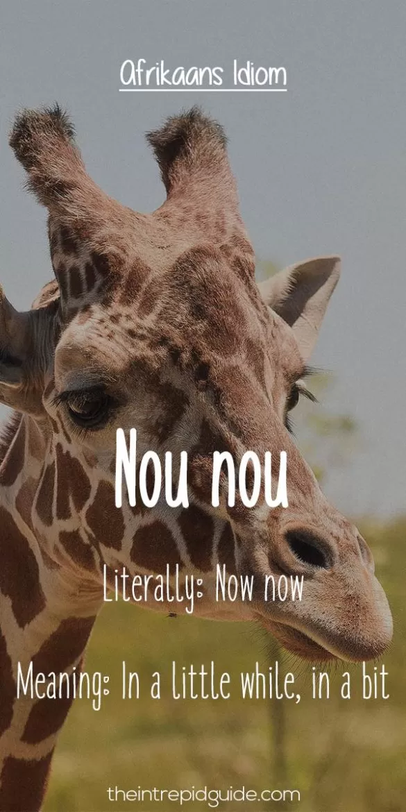 25 Hilarious Afrikaans Idioms That Should Exist in English