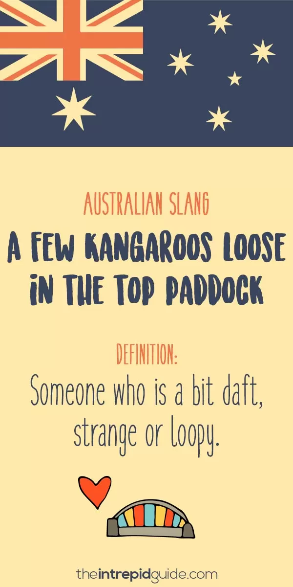 australian slang A few Kangaroos loose in the top paddock