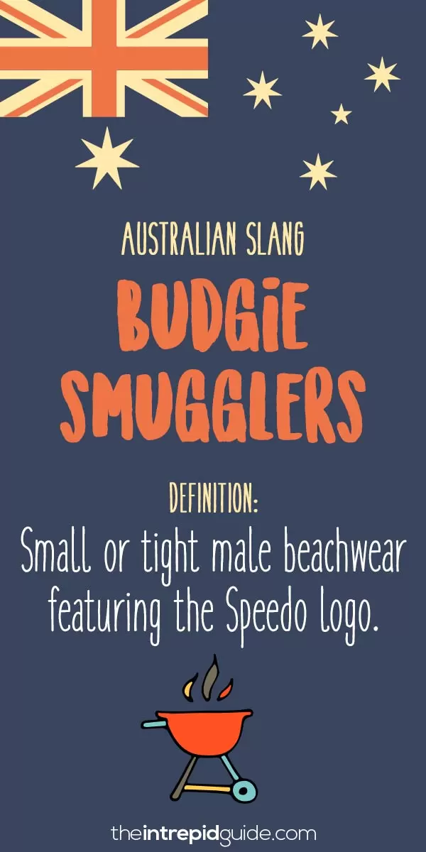 australian slang budgie smugglers