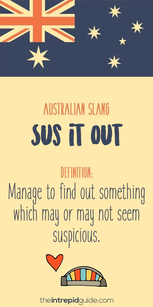 australian slang - sus it out