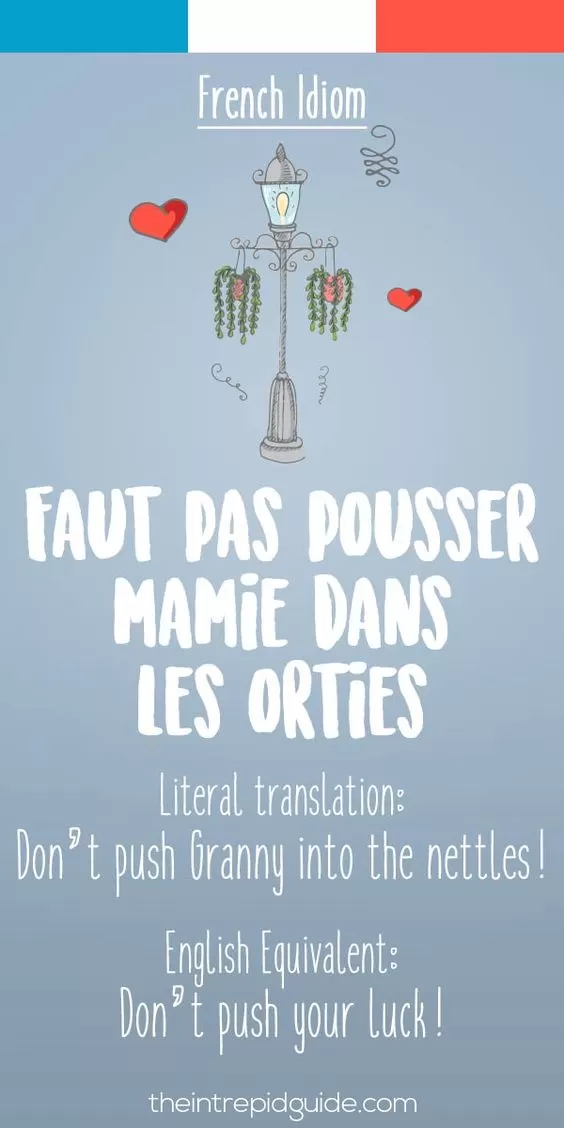 funny french idioms - Faut pas pousser mamie dans les orties