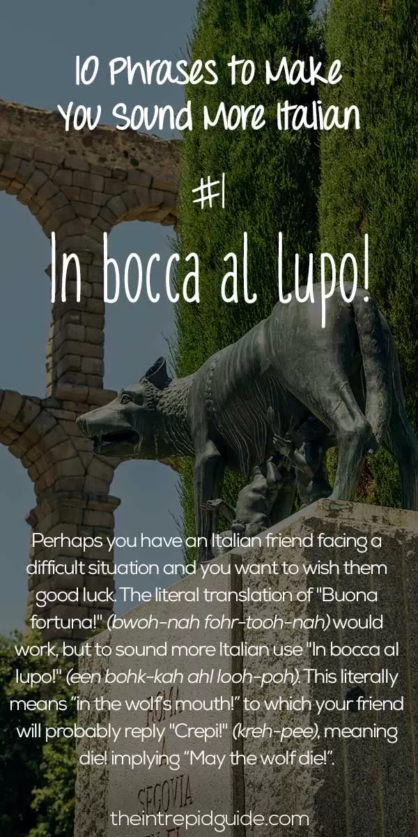 Italian Phrases In bocca al lupo