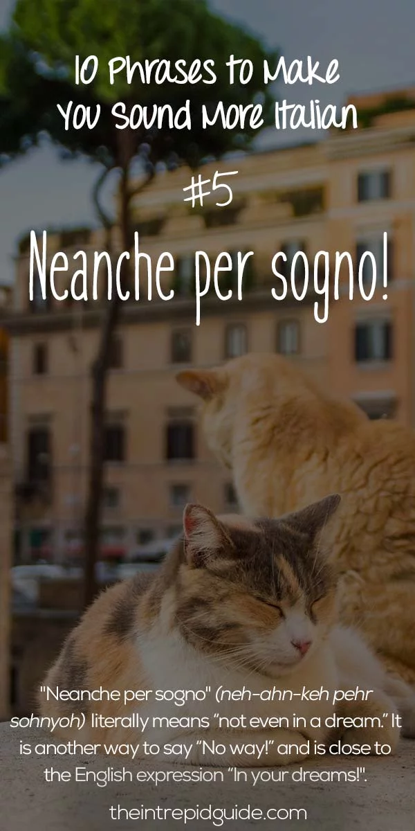 Italian Phrases Neanche per sogno