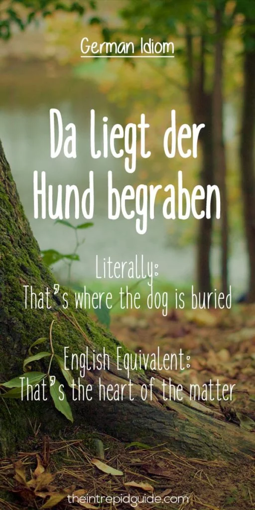 German Idioms Da liegt der Hund begraben