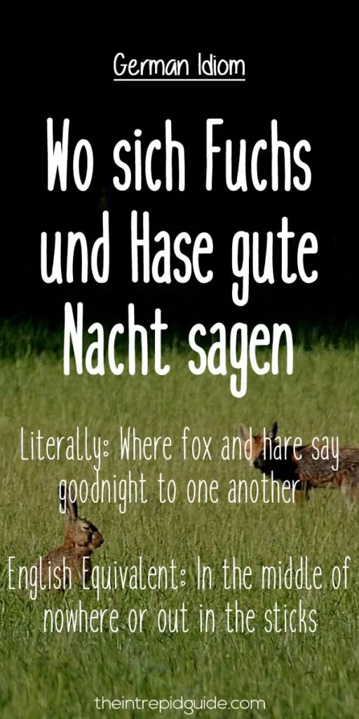 German Idioms Wo sich Fuchs-und Hase gute Nacht sagen