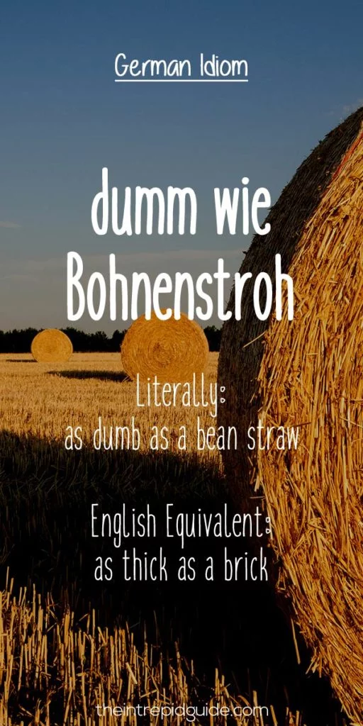 German Idioms dumm wie Bohnenstroh