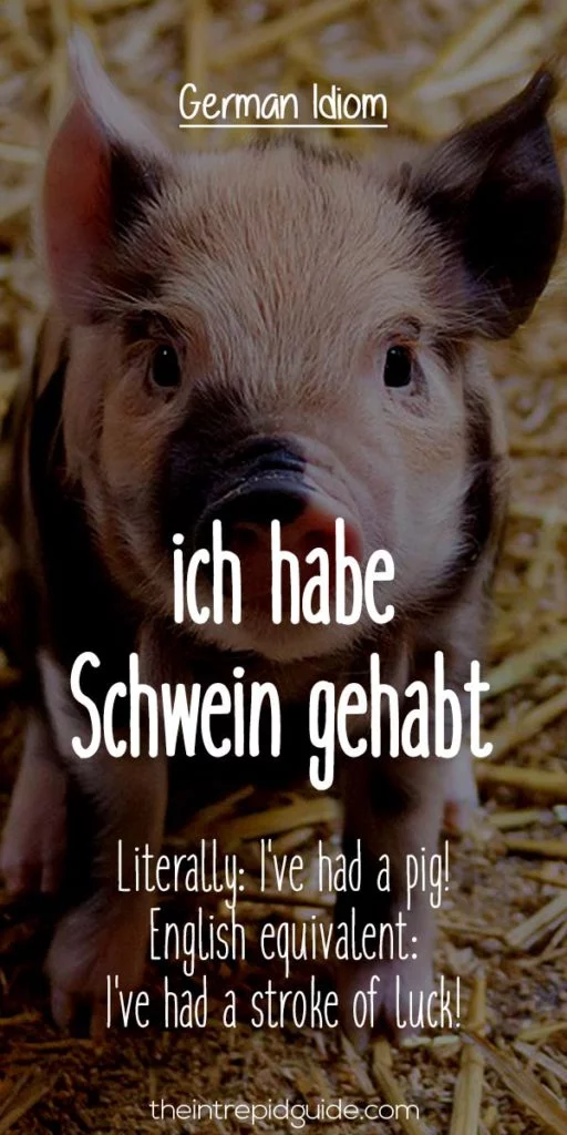 German Idioms ich habe Schwein gehabt
