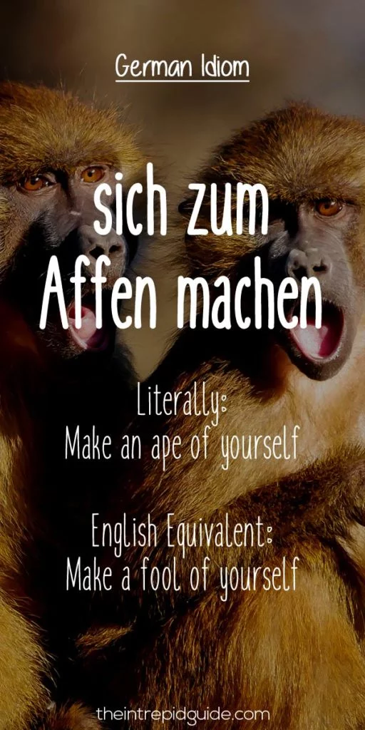 German Idioms sich zum Affen machen