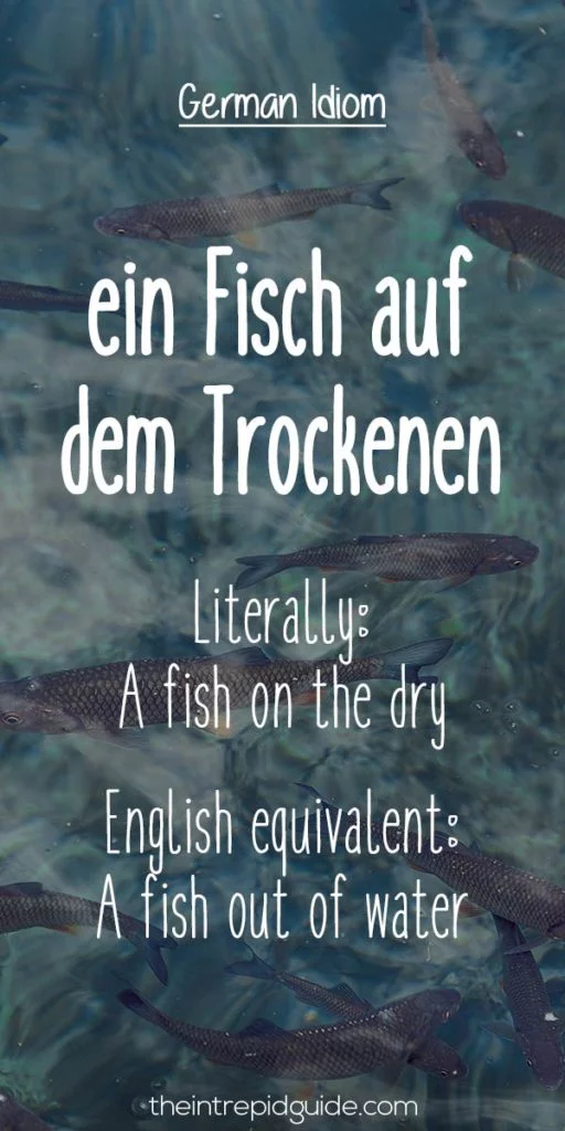 German idioms ein Fisch auf dem Trockenen