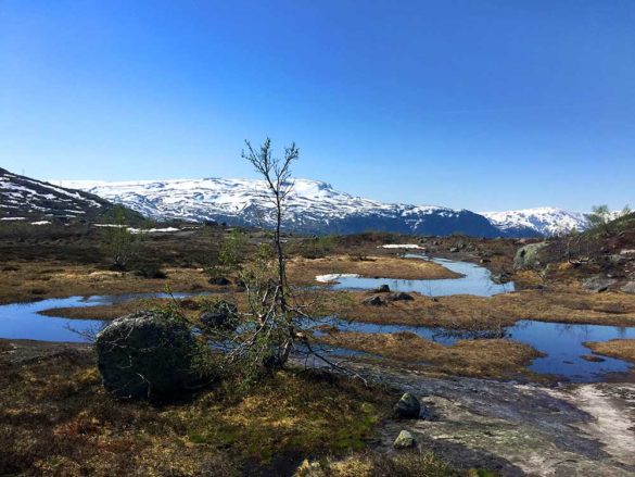 Hiking Trolltunga in Norway - The Ultimate Guide - First Plateau Norway