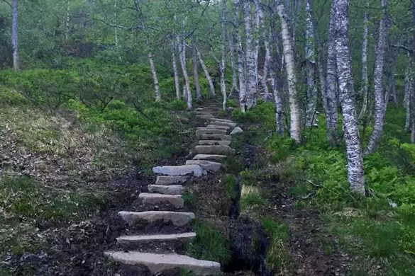 Hiking Trolltunga in Norway - The Ultimate Guide - Forest Steps Norway