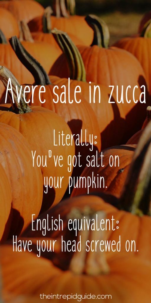Italian Sayings Avere sale in zucca