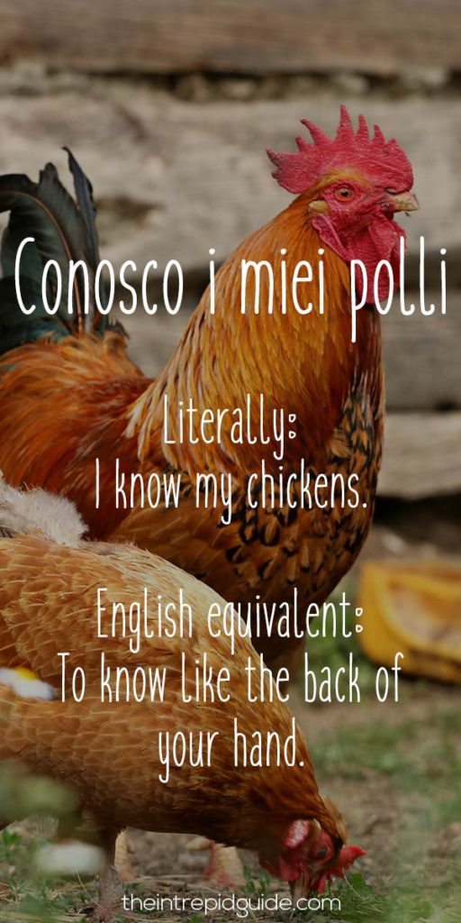 Italian Sayings Conosco i miei polli