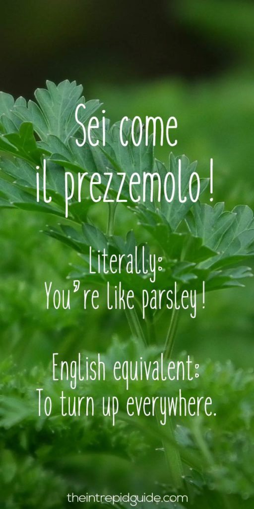 Italian Sayings - Sei Come il Prezzemolo