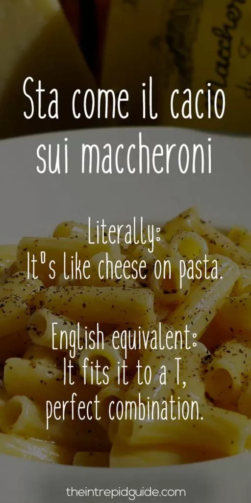 Funniest Italian Sayings: 26 Food-Related Insults You Won't Forget Funniest Italian Sayings: 26 Food-Related Insults You Won't Forget