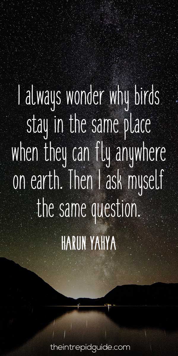 best inspirational travel quotes - I always wonder why birds stay in the same place when they can fly anywhere on earth. Then I ask myself the same question. - Harun Yahya.