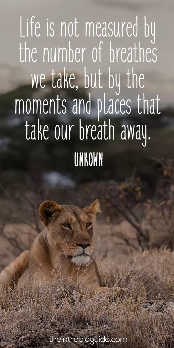 best inspirational travel quotes in 2022 - Life is not measured by the number of breaths we take, but by the moments and places that take our breath away - Unknown