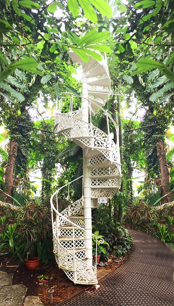 top 20 best things to do in Copenhagen - Spiral Stairs Botanic Gardens Copenhagen
