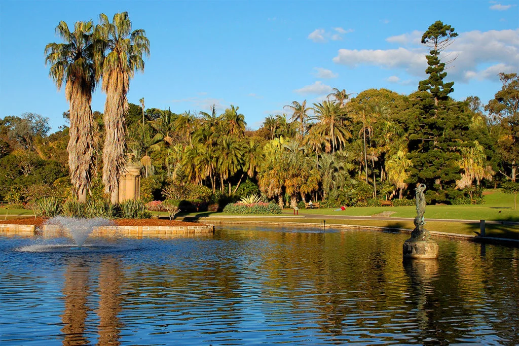 25 Things to do in Sydney on a budget - botanical gardens
