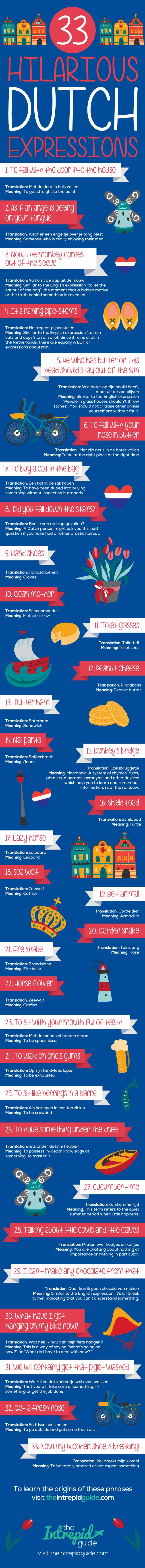 dutch phrases and idioms infographic