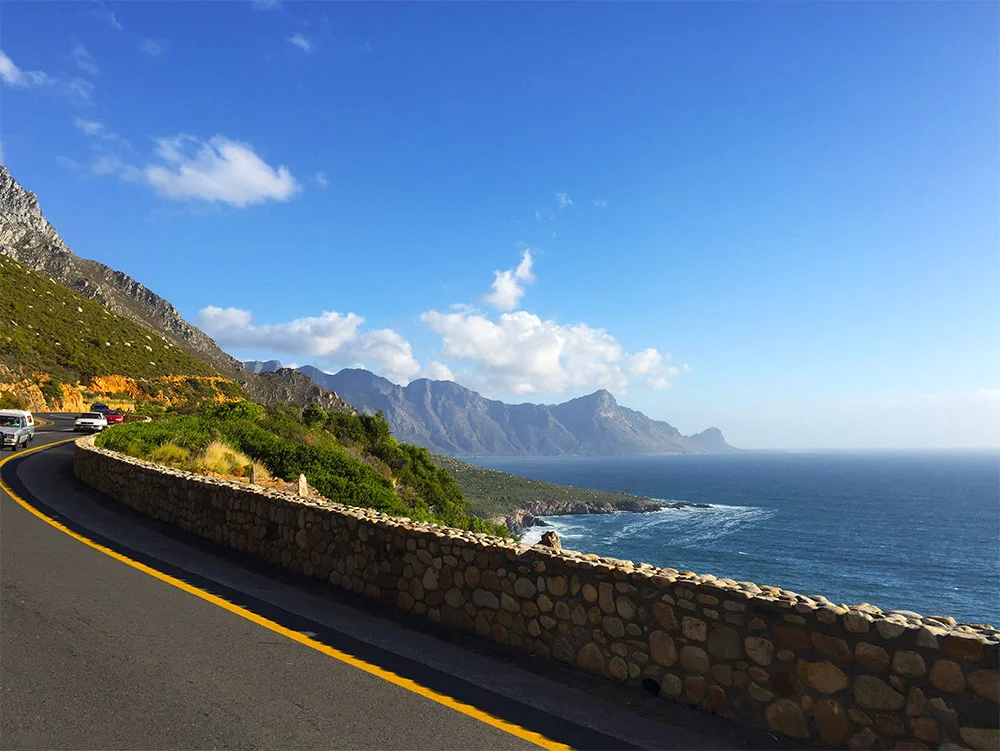 things you must do in cape town south africa - Boulders Beach Penguins Cape Town Scenic Drive