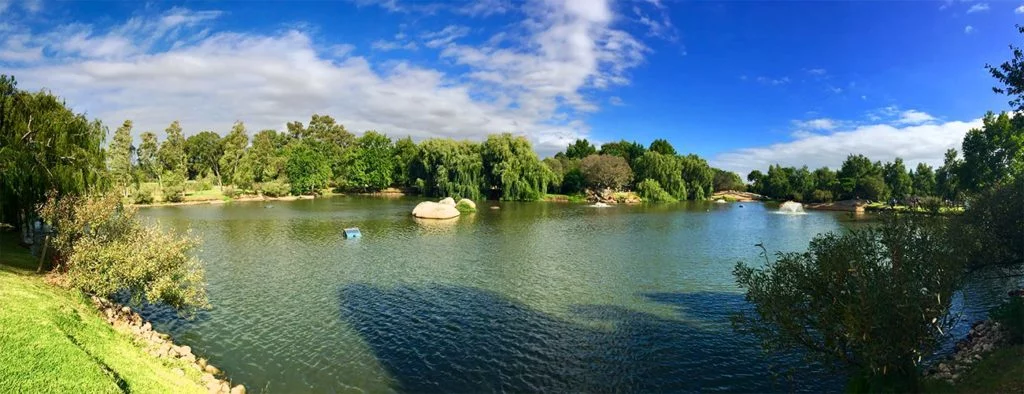things you must do in cape town south africa - Spier Stellenbosch Lake