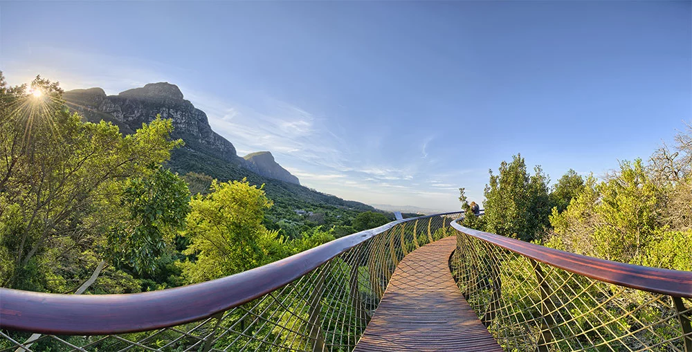 Things to do in Cape Town - kirstenbosch botanical gardens