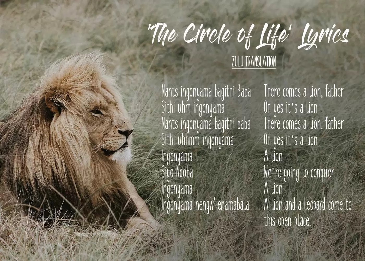 We translated The Lion King's 'Circle of Life' lyrics into English