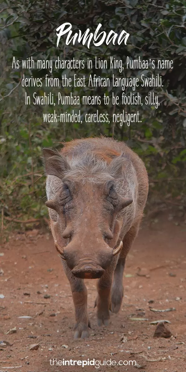 The Lion King African words Pumbaa