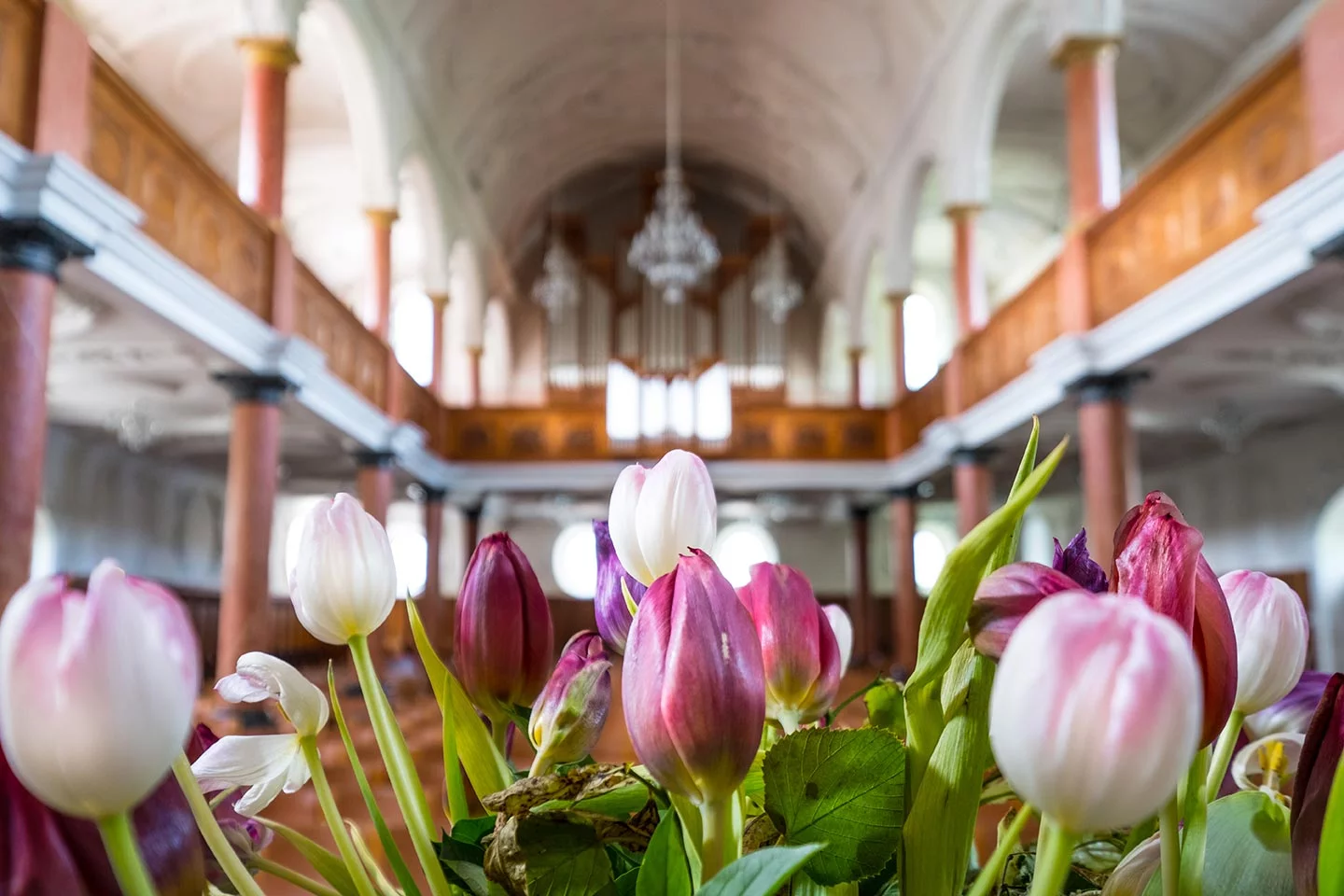 Zurich itinerary - Things to do in Zurich - St Peters Church Flowers Zurich