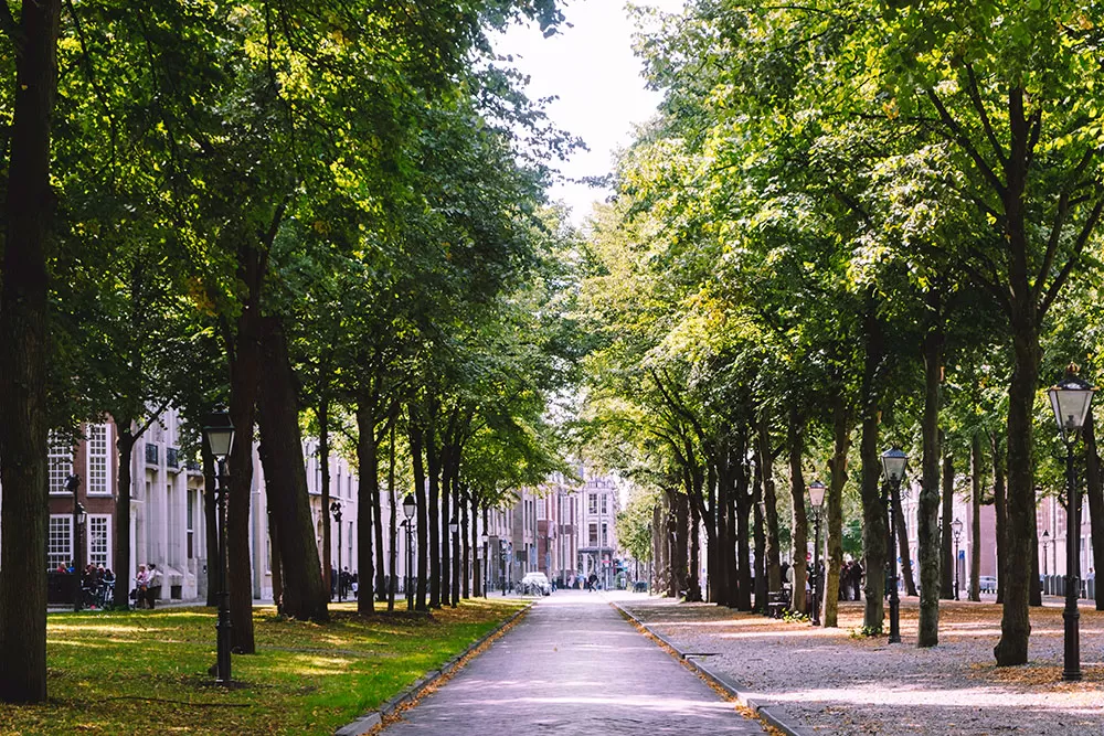 things to do in the hague Lange Voorhout