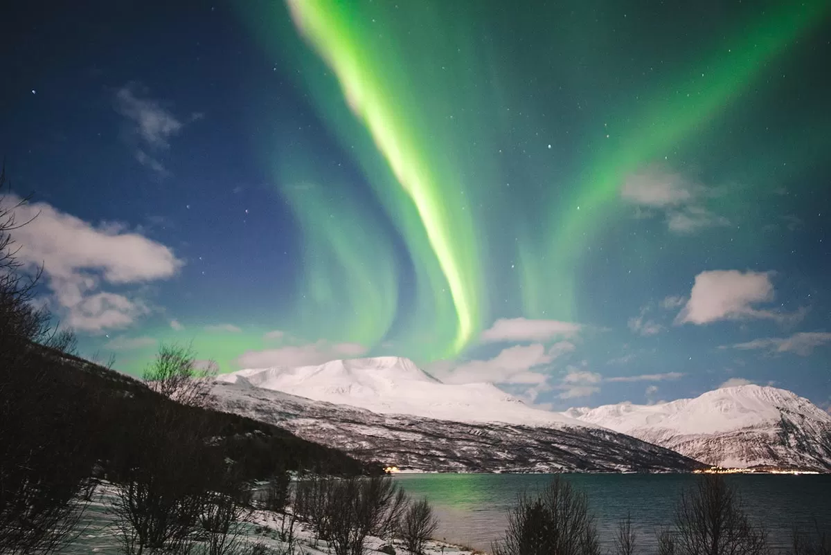Tromso Northern Lights Tour - Aurora Borealis streaks in the sky